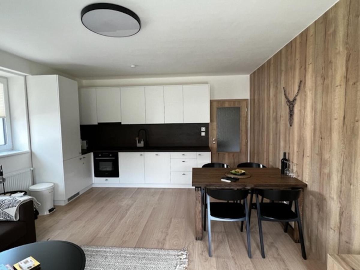 Klinovec Apartments Luxury Loučná pod Klínovcem المظهر الخارجي الصورة