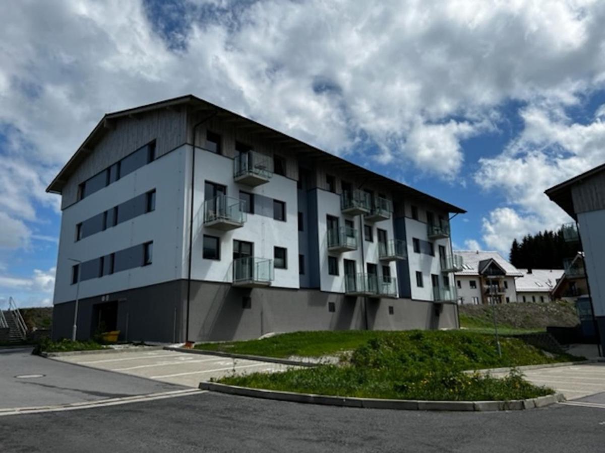 Klinovec Apartments Luxury Loučná pod Klínovcem المظهر الخارجي الصورة