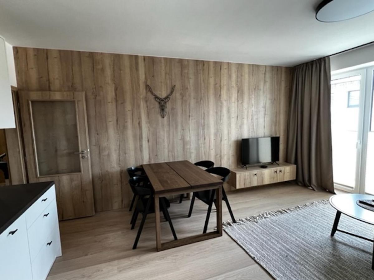 Klinovec Apartments Luxury Loučná pod Klínovcem المظهر الخارجي الصورة