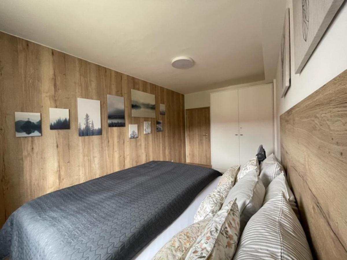 Klinovec Apartments Luxury Loučná pod Klínovcem المظهر الخارجي الصورة